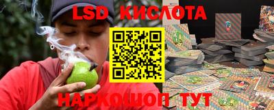 Альфа ПВП Сланцы