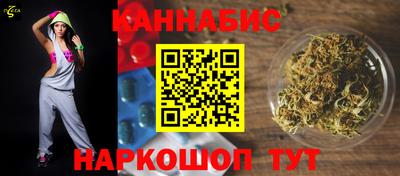 Альфа ПВП Сланцы