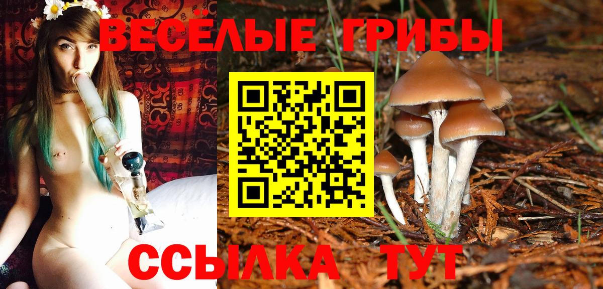 Муром  Галлюциногенные грибы Magic Shrooms  Вход с VPN 
