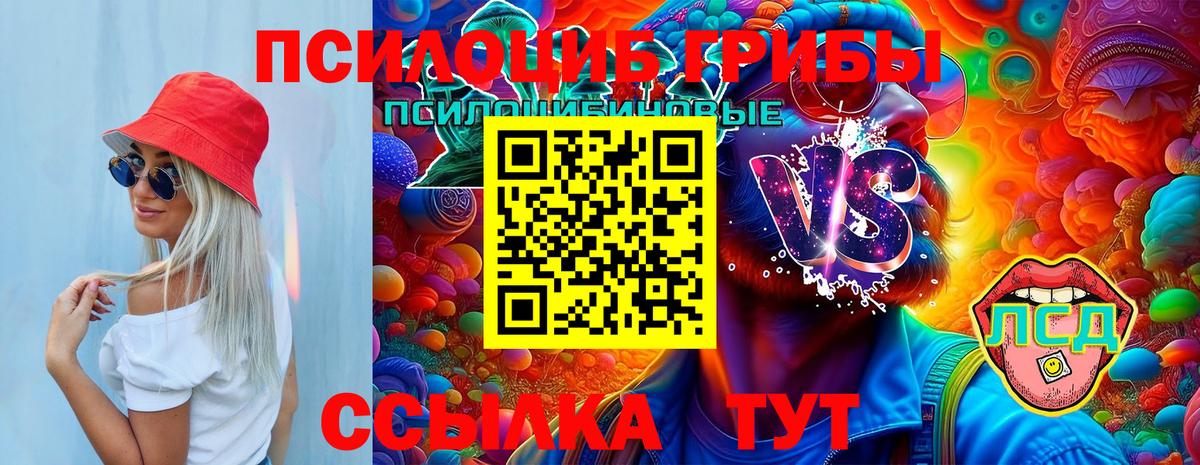 Псилоцибиновые грибы Cubensis Муром